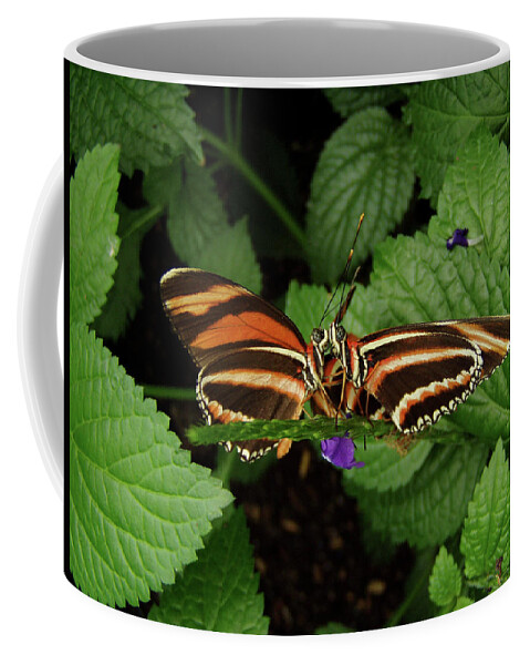 Butterflies Coffee Mug featuring the photograph Love - Butterflies Kissing by Steven Myers