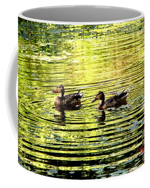 Ducks Coffee Mug featuring the photograph Love Ducks by A L Sadie Reneau