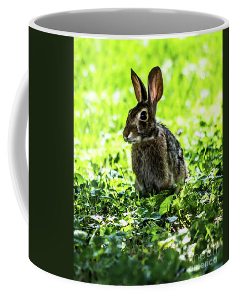 Rabbit Coffee Mug featuring the photograph Love For The Wild by Gerald Kloss