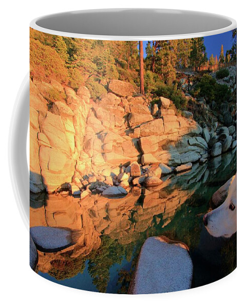 Wild Coffee Mug featuring the photograph Love Is All Around by Sean Sarsfield