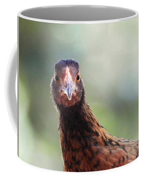 Chickens Hen Pose Nature Wild Wildlife Animal Bird Bird-watching Comical Funny Bird Photography Coffee Mug featuring the photograph Love That Smile by Jan Gelders