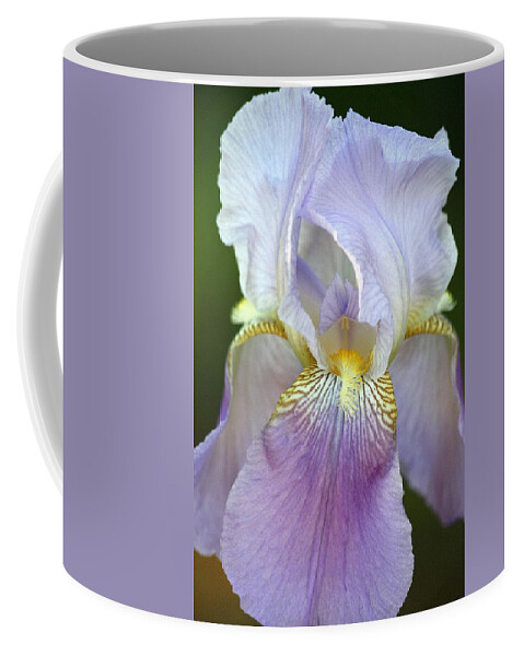 Nature Coffee Mug featuring the photograph Lovely in Lavender by Sheila Brown