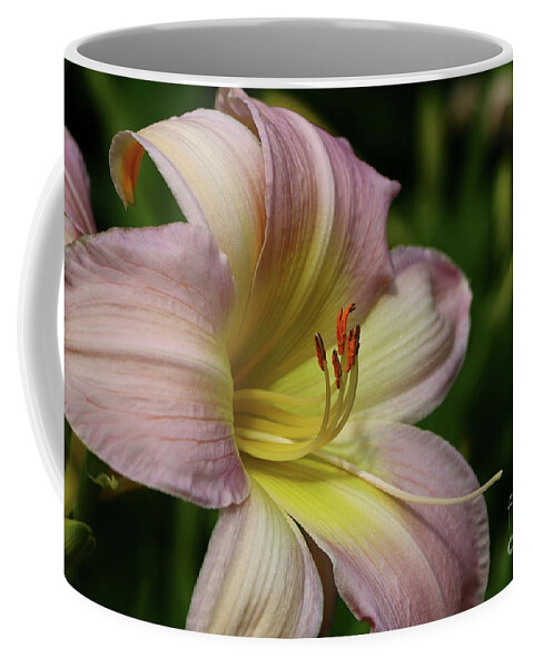 Lily Coffee Mug featuring the photograph Lovely Lily by Christiane Schulze Art And Photography