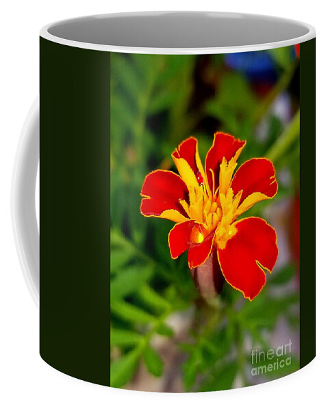 Sea Coffee Mug featuring the photograph Lovely Little Flower by Michael Graham