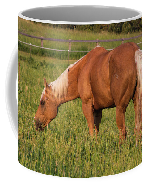 Horse Coffee Mug featuring the photograph Lovely Palomino by Alana Thrower