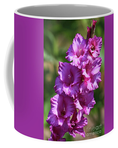 Floral Coffee Mug featuring the photograph Lovely Purple Gladiolus by Carol Groenen