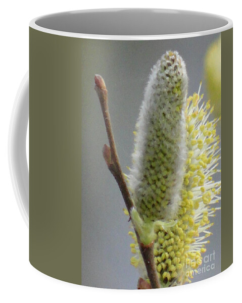 Spring Coffee Mug featuring the photograph Lovely spring by Karin Ravasio