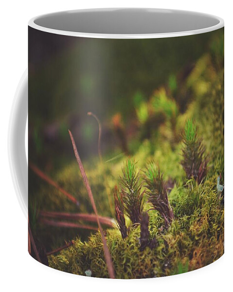 Low Coffee Mug featuring the photograph low in the valley -Loganville Georgia by Adrian De Leon Art and Photography