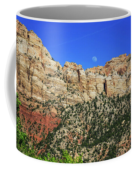 Nature Coffee Mug featuring the photograph Lower Zion park by Barry Bohn