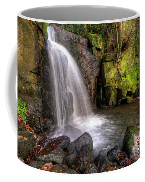 Yhun Suarez Coffee Mug featuring the photograph Lumsdale Falls 3.0 by Yhun Suarez