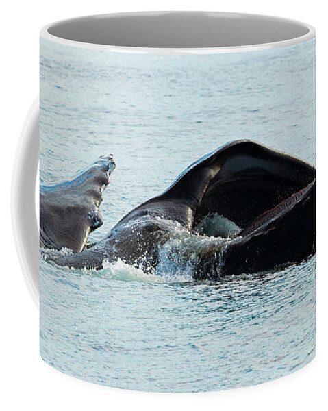 Lunge Fishing Coffee Mug by Michael Dawson - Pixels Merch
