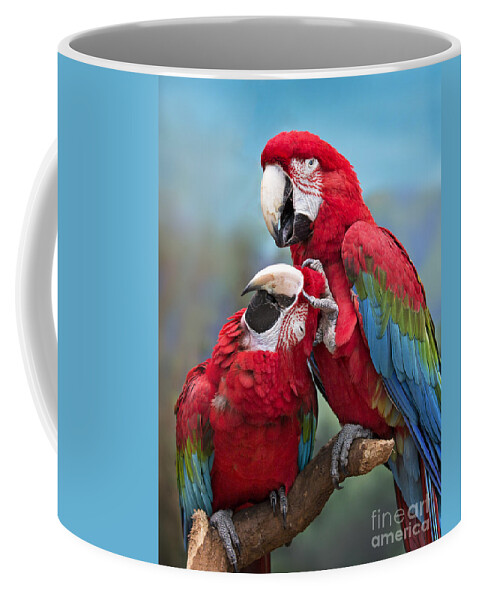 Macaw Coffee Mug featuring the photograph Macaw Love by Emma England
