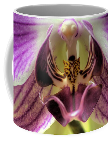 Hdr Coffee Mug featuring the photograph Macro Orchid by Brad Granger