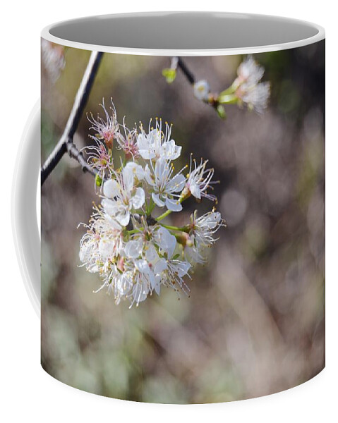 Macro Wild Plum Coffee Mug featuring the photograph Macro Wild Plum by Warren Thompson