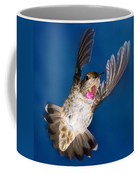 Hummingbird Coffee Mug featuring the photograph Maestro by Patrick Campbell