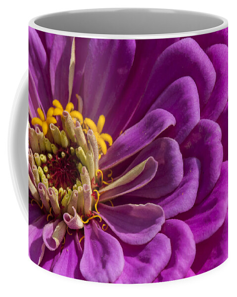 Beallesville Coffee Mug featuring the photograph Magenta Zinnia by Brian Green