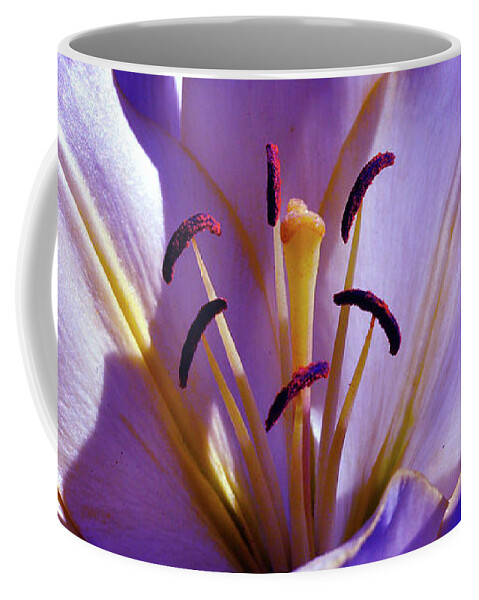 Magic Floral Poetry Coffee Mug featuring the photograph Magic Floral Poetry by Silva Wischeropp