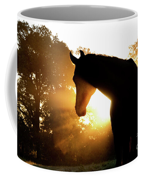 Horse Coffee Mug featuring the photograph Magical Sunrise by Sari ONeal