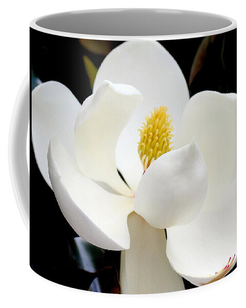 Magnolia Coffee Mug featuring the photograph Magnolia 2 Photograph by Kimberly Walker