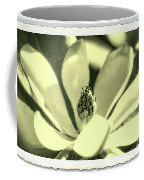 Flowers Coffee Mug featuring the photograph Magnolia by Garry McMichael
