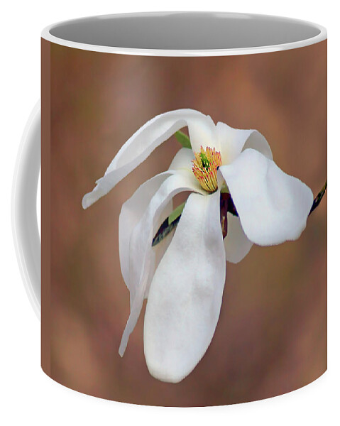 Magnolia Coffee Mug featuring the photograph Magnolia Grace by Nikolyn McDonald