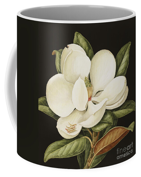 Still-life Coffee Mug featuring the painting Magnolia Grandiflora by Jenny Barron