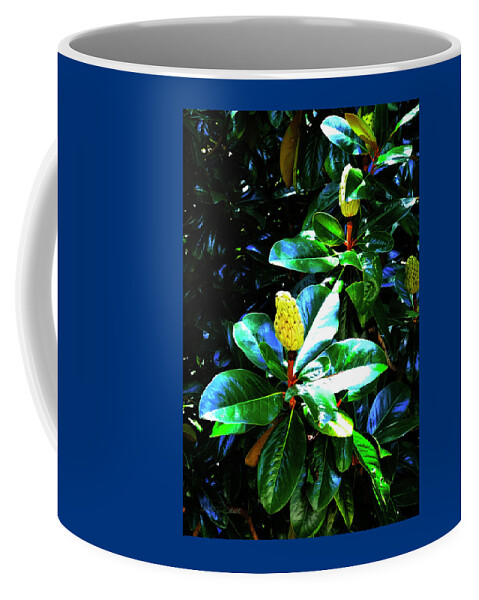Magnolia Tree Coffee Mug featuring the photograph Magnolia Seed Pod in the Sun by Robert J Sadler