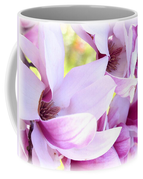Magnolia Coffee Mug featuring the photograph Magnolia Time by Carol Sweetwood