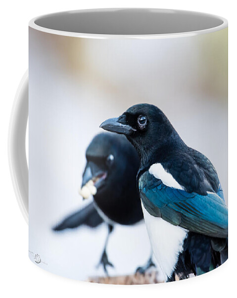 Pica Pica Coffee Mug featuring the photograph Magpies and the peanuts by Torbjorn Swenelius