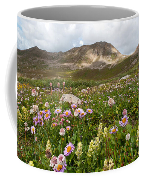 Summer Coffee Mug featuring the photograph Majestic Colorado Alpine Meadow by Cascade Colors