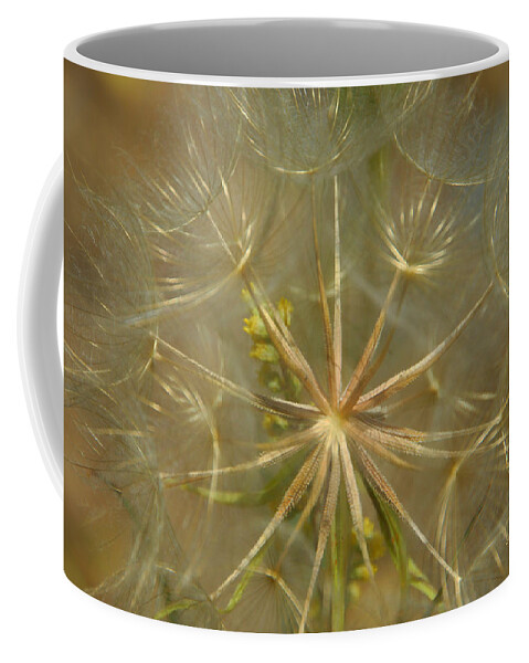 Dandelion Coffee Mug featuring the photograph Make A Wish by Donna Blackhall