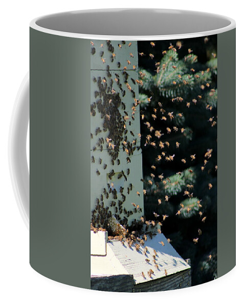 Honey Bee Coffee Mug featuring the photograph Making Honey - Portrait by Colleen Cornelius