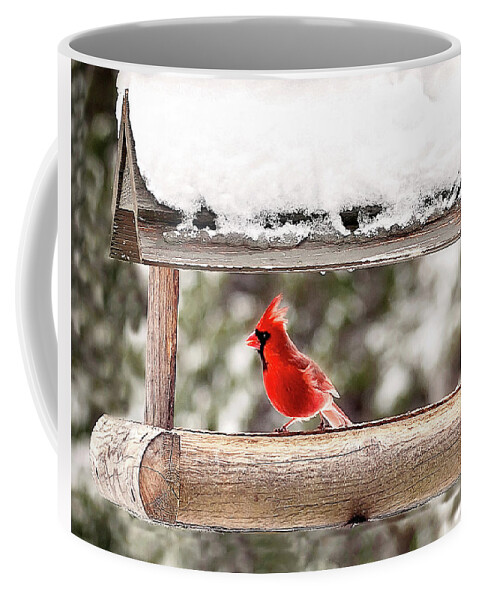 Male Bird Coffee Mug featuring the photograph Male Cardinal Bird Print by Gwen Gibson