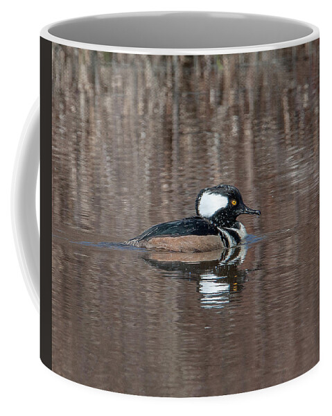 Nature Coffee Mug featuring the photograph Male Hooded Merganser DWF0161 by Gerry Gantt