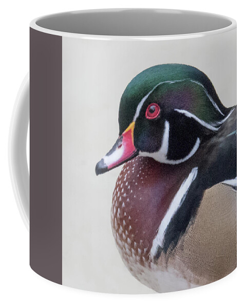 Wood Duck Coffee Mug featuring the photograph Male Wood Duck Head by Jack Nevitt