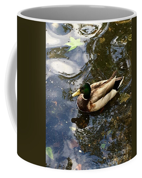 Mallard Coffee Mug featuring the photograph Mallard by CAC Graphics