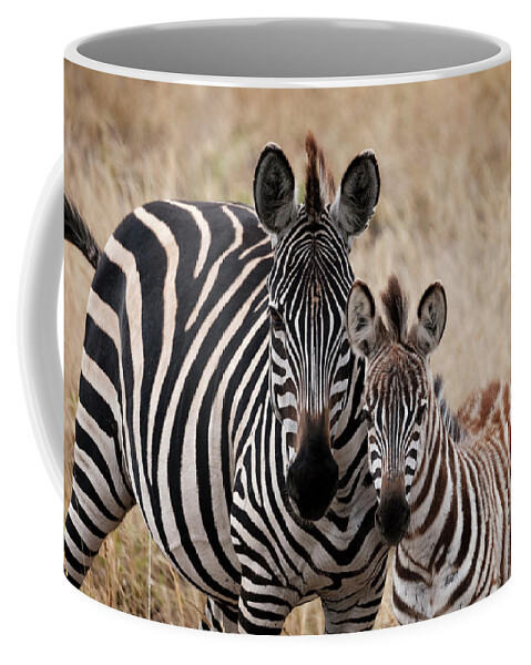 Africa Coffee Mug featuring the photograph Mama and Baby Zebra by Mary Lee Dereske