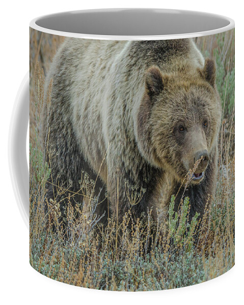 Blonde Bear Coffee Mug featuring the photograph Mama Grizzly Blondie by Yeates Photography