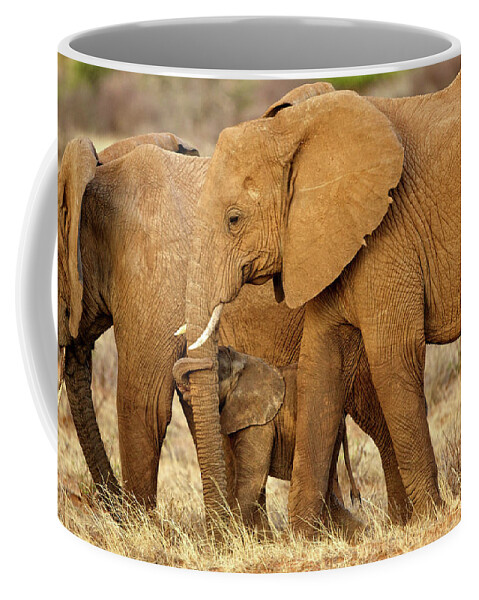 Elephants Coffee Mug featuring the photograph Mama Knows Best by Steven Upton