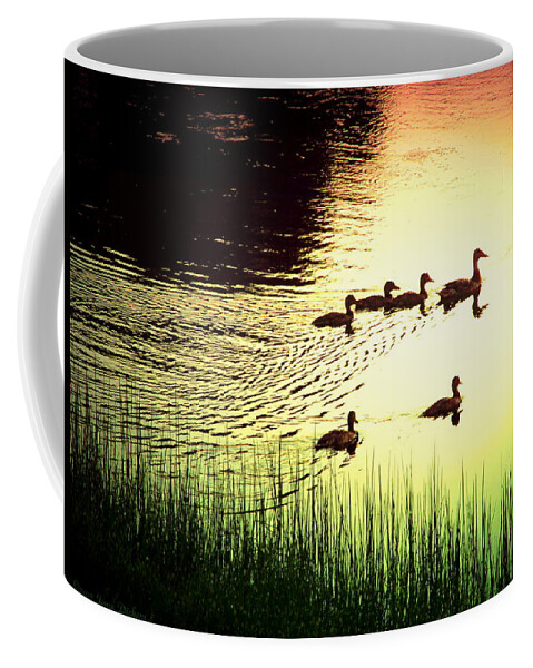 Ducks Coffee Mug featuring the photograph Mama Mallard And Ducklings by Joyce Dickens