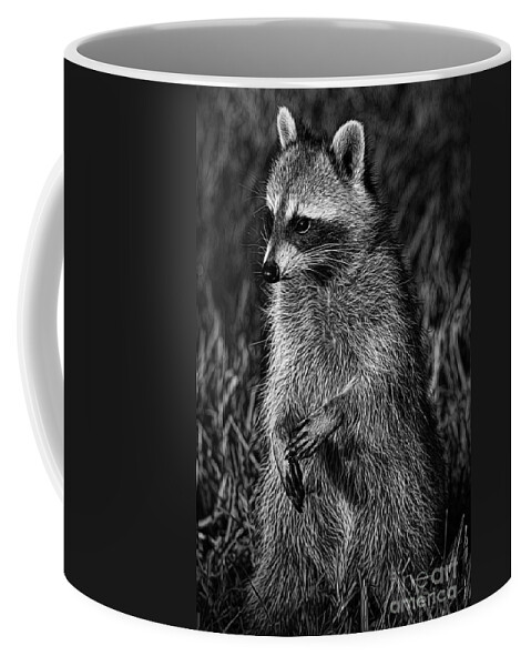 Deborah Benoit Coffee Mug featuring the photograph Mama Raccoon by Deborah Benoit