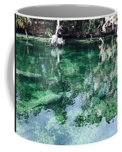 Manatees Coffee Mug featuring the photograph Manatees by Michael Albright
