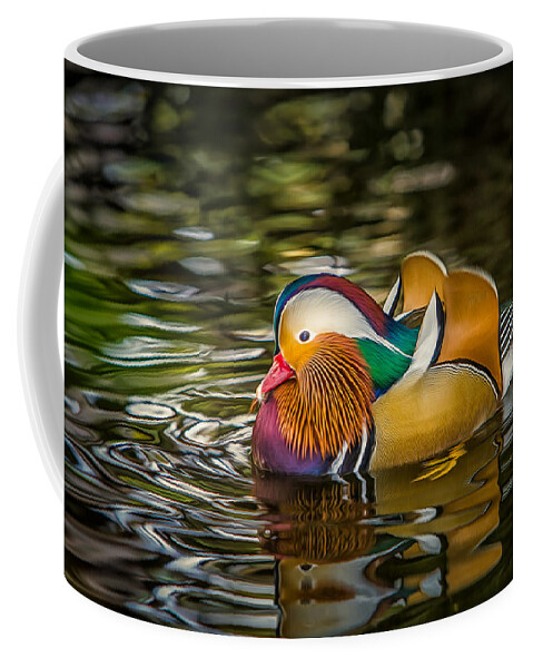 Animals Coffee Mug featuring the photograph Mandarin Rainbow by Rikk Flohr