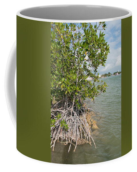 Mexico Quintana Roo Coffee Mug featuring the digital art Mangroves in Chetumal by Carol Ailles