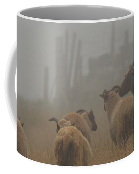 Photography By Paul Davenport Coffee Mug featuring the photograph Manx Loaghtan sheep in mist by Paul Davenport