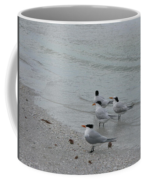  Coffee Mug featuring the photograph Marco Island FL Beach Birds by Arthur English