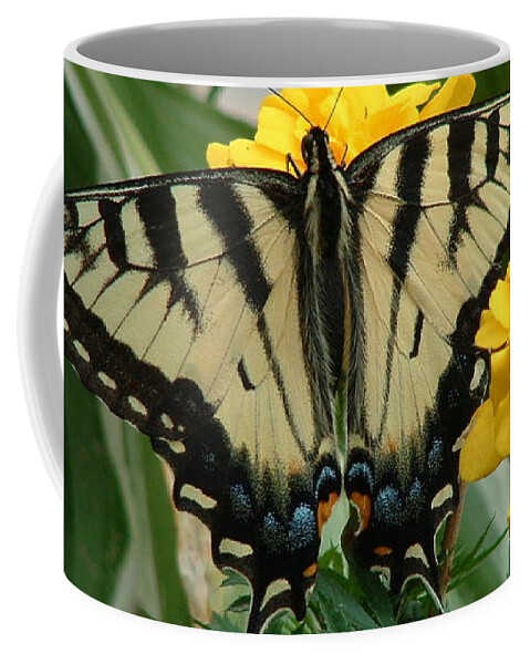 Butterfly Coffee Mug featuring the photograph Marigold and Butterfly by Anjel B Hartwell