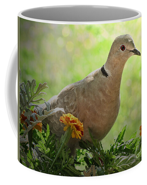 Dove Coffee Mug featuring the photograph Marigold Dove by Debbie Portwood