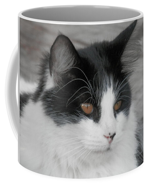 #white Coffee Mug featuring the photograph Marley Cat Meowning by Belinda Lee