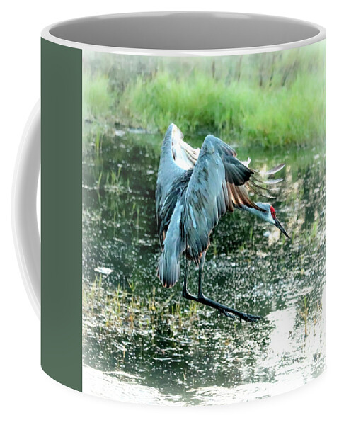 Sandhill Crane Coffee Mug featuring the photograph Marsh Sandhill Landing by Carol Groenen
